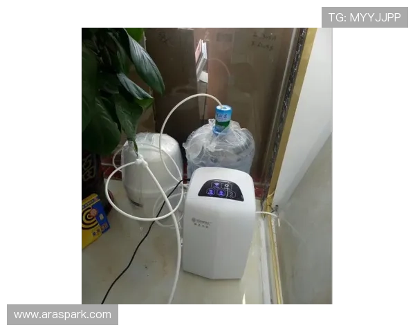 真人买球游戏的最新趋势与发展方向，掌握行业动态把握投资先机